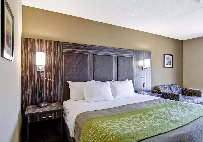اتاق استاندارد, Dorint Hotel Hamburg Eppendorf