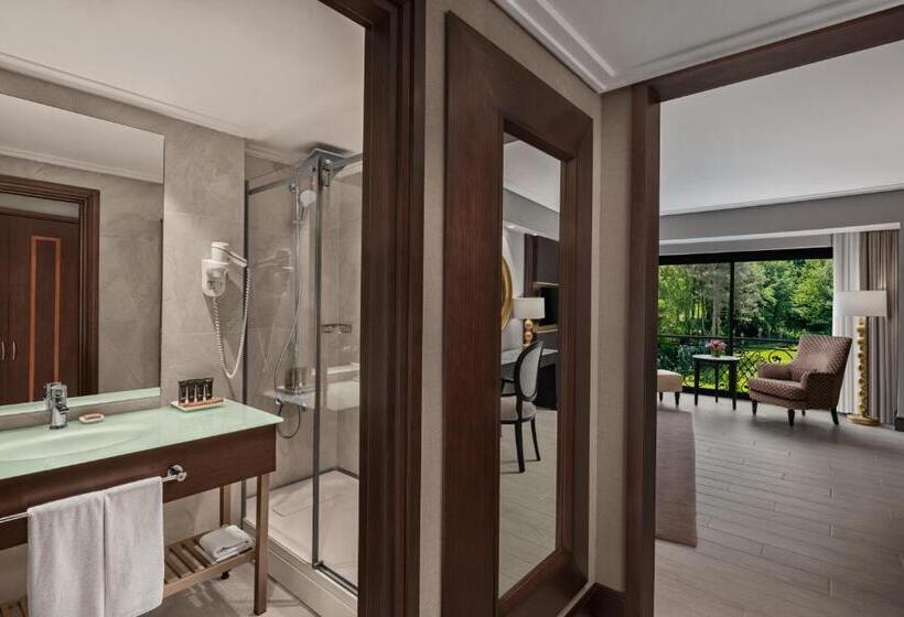 Номер Deluxe, Ng Sapanca Wellness & Convention
