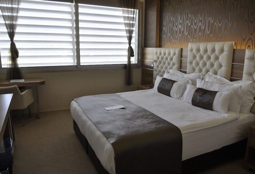 חדר סטנדרט, Orty Airport