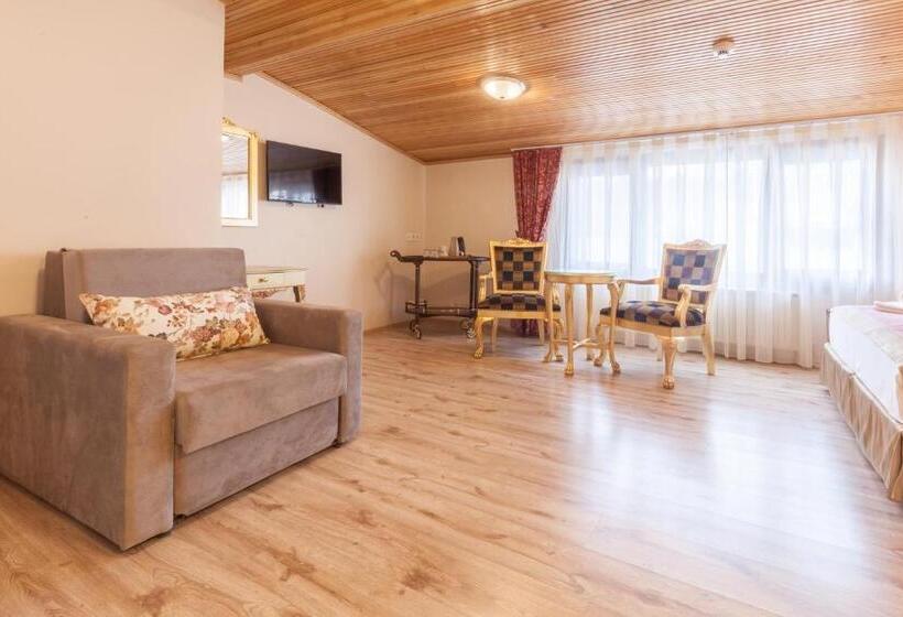 اتاق سوپریور, Saba Sultan