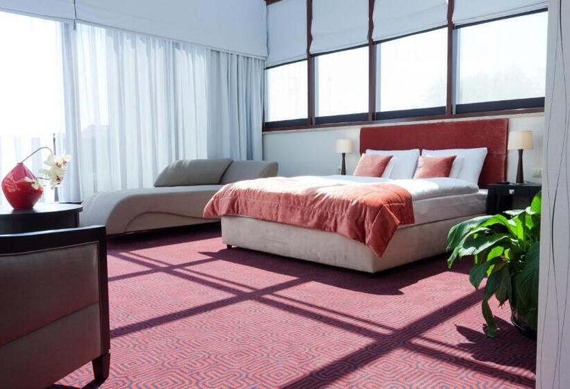 اتاق کلاس بیزنس, Silvia Gold Gliwice