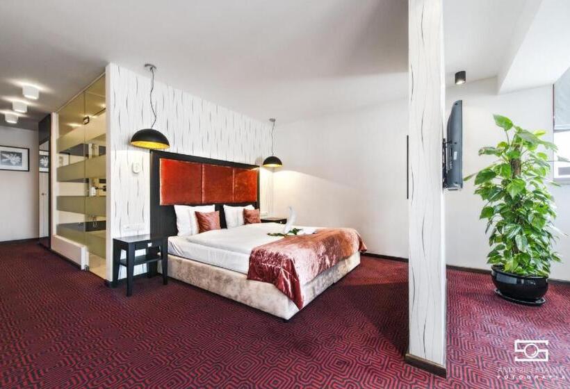 آپارتمان 1 خوابه, Silvia Gold Gliwice