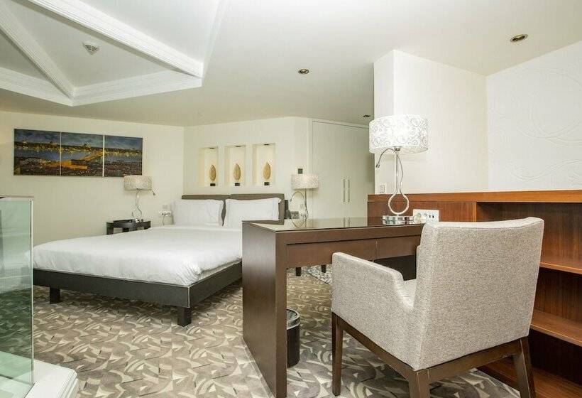 メゾネットスイート, The Elysium Taksim