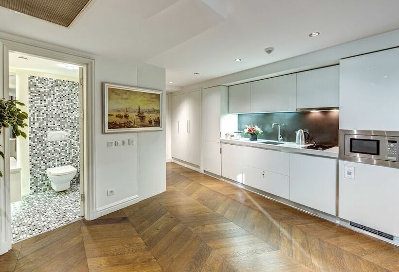 メゾネットスイート, The Elysium Taksim