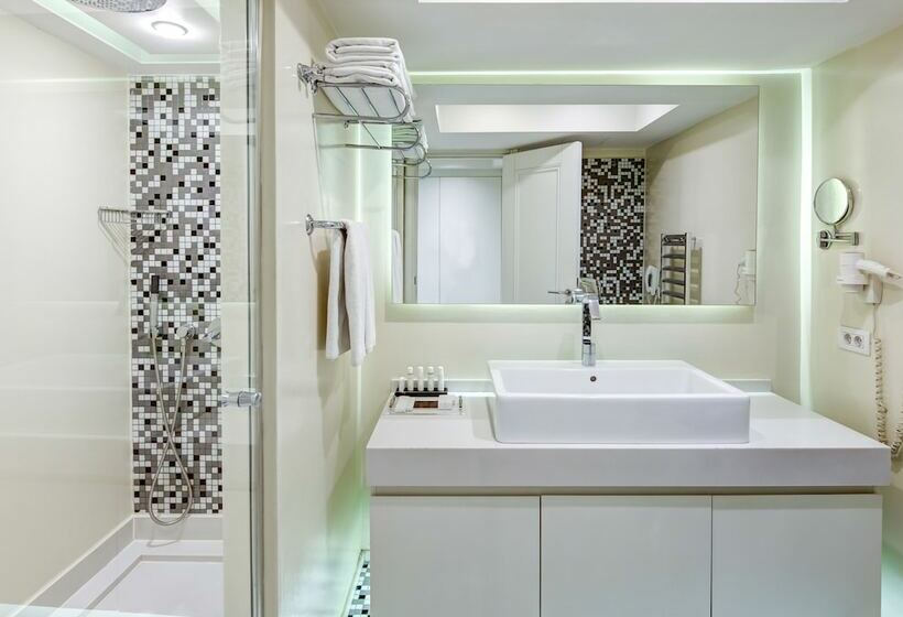 デュプレックスのジュニアスイート, The Elysium Taksim