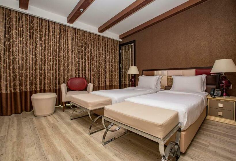 デラックスルーム, The Elysium Taksim