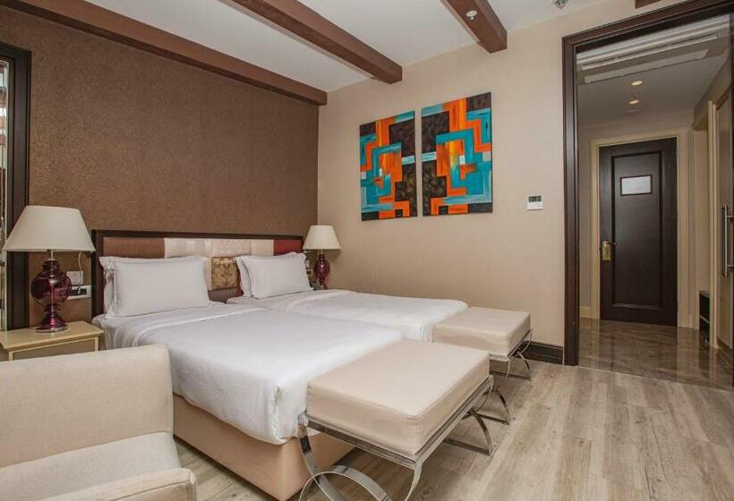 デラックスルーム, The Elysium Taksim