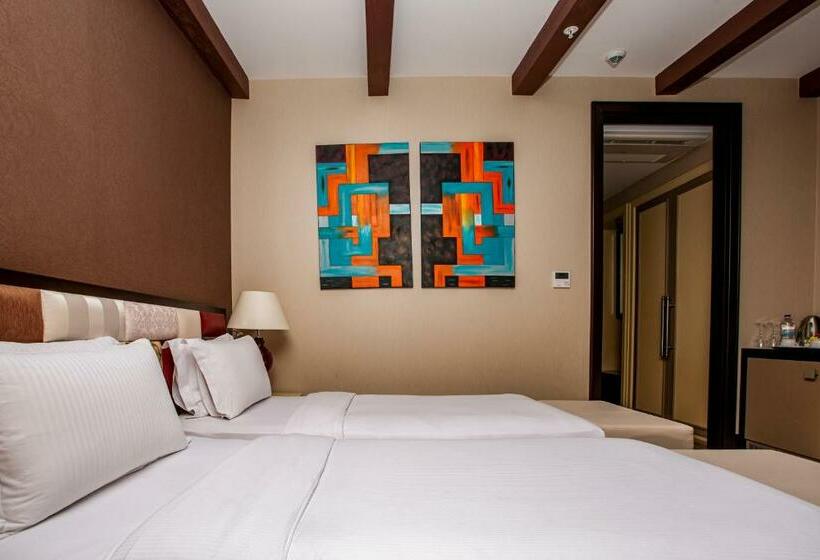 デラックスルーム, The Elysium Taksim