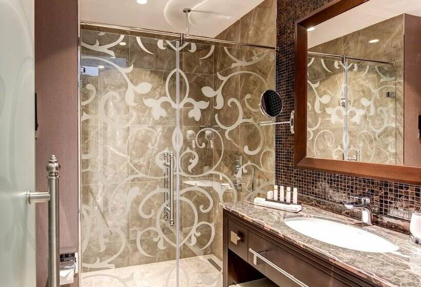 デラックスルーム, The Elysium Taksim