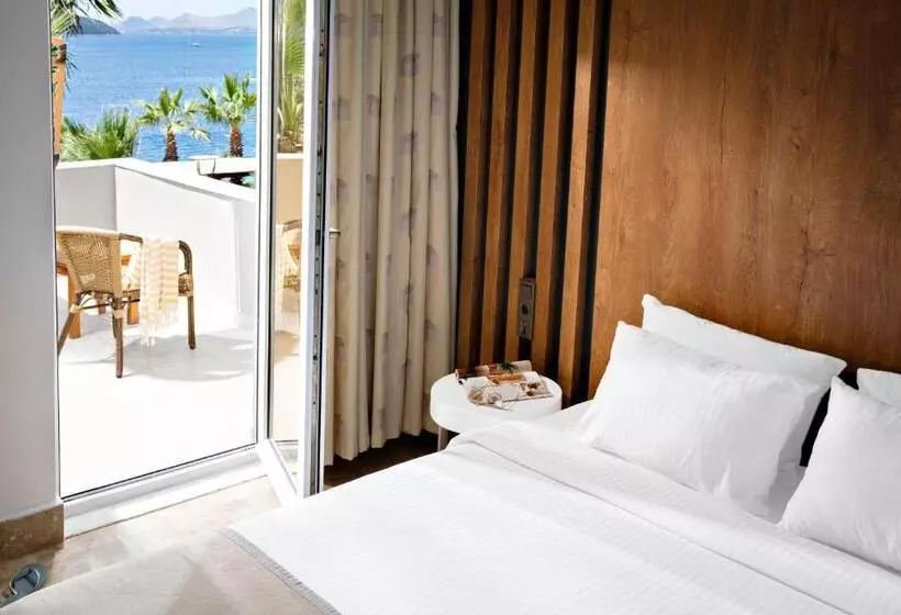 اتاق سوپریور, Tui Magic Life Bodrum   Adults Only