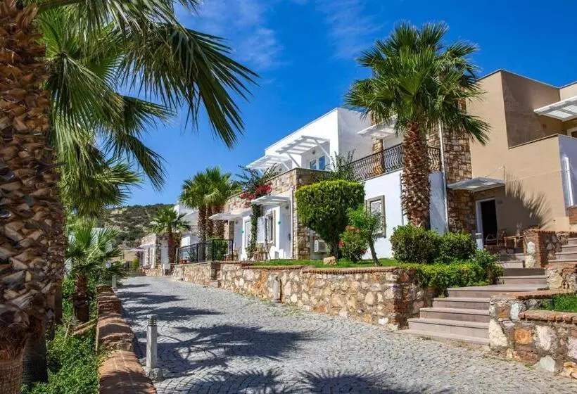 اتاق سوپریور, Tui Magic Life Bodrum   Adults Only