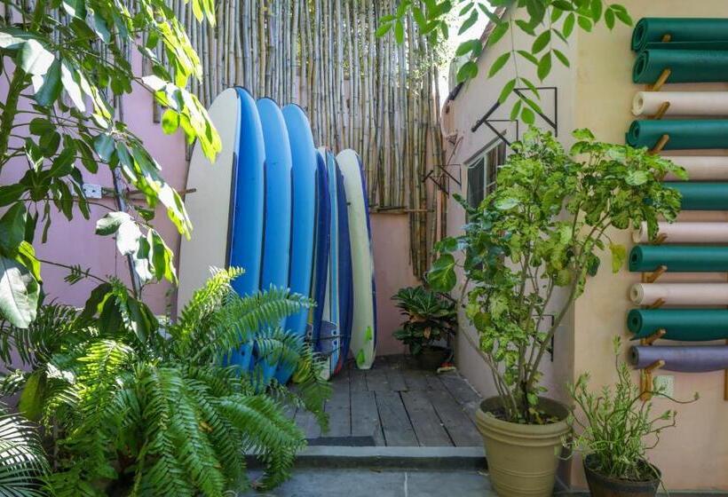 デラックススタジオ, My Sisters House Female Only