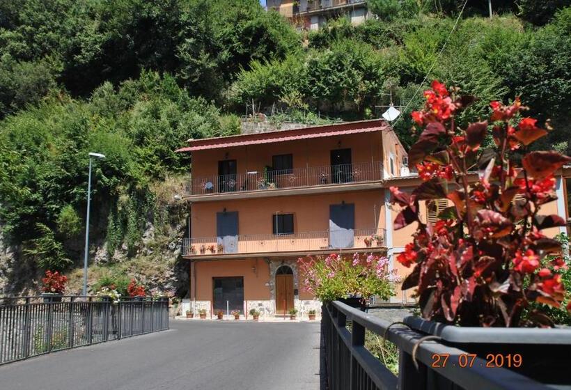 اتاق اکونومی, B&b 40 Steps