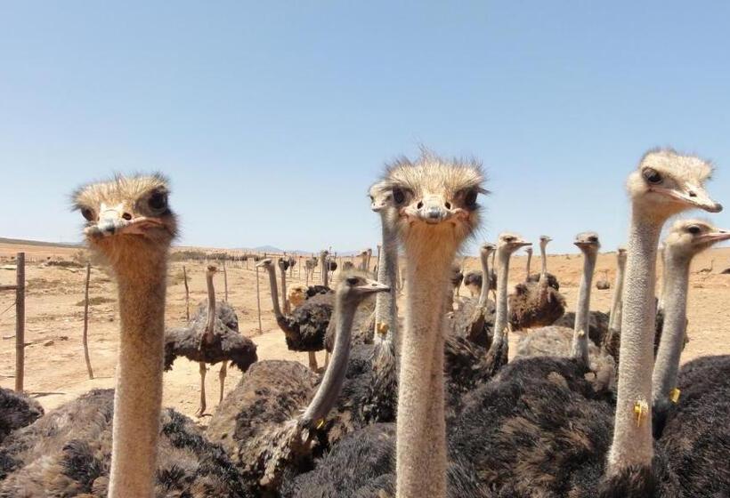 اتاق لوکس با بالکن و چشمانداز دریا, Kooboo Berry Ocean View, Self Catering Guesthouse