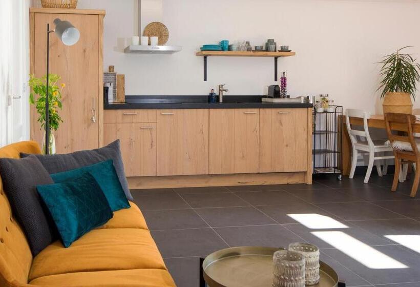 豪华工作室, B & B Meet The Dutch