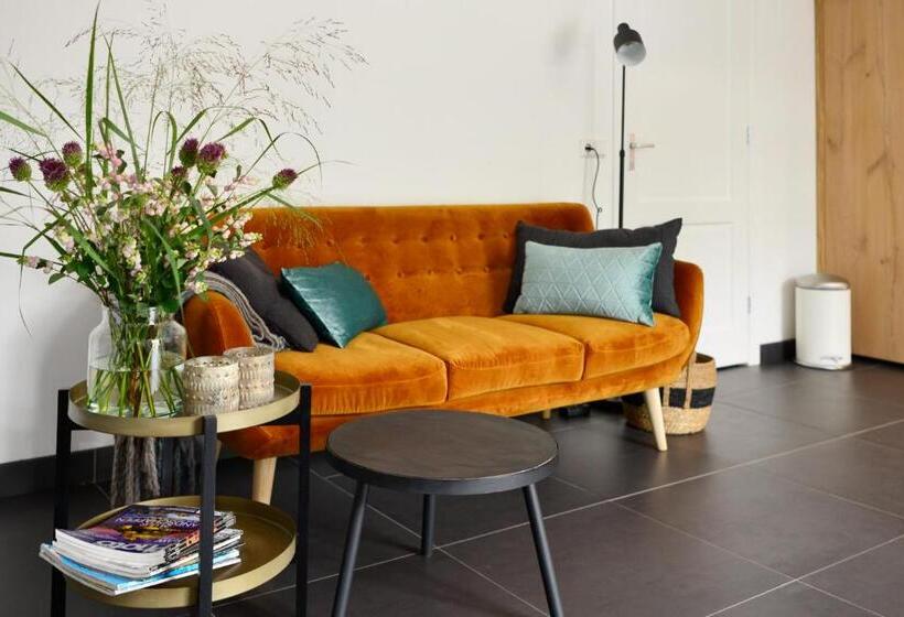 豪华工作室, B & B Meet The Dutch