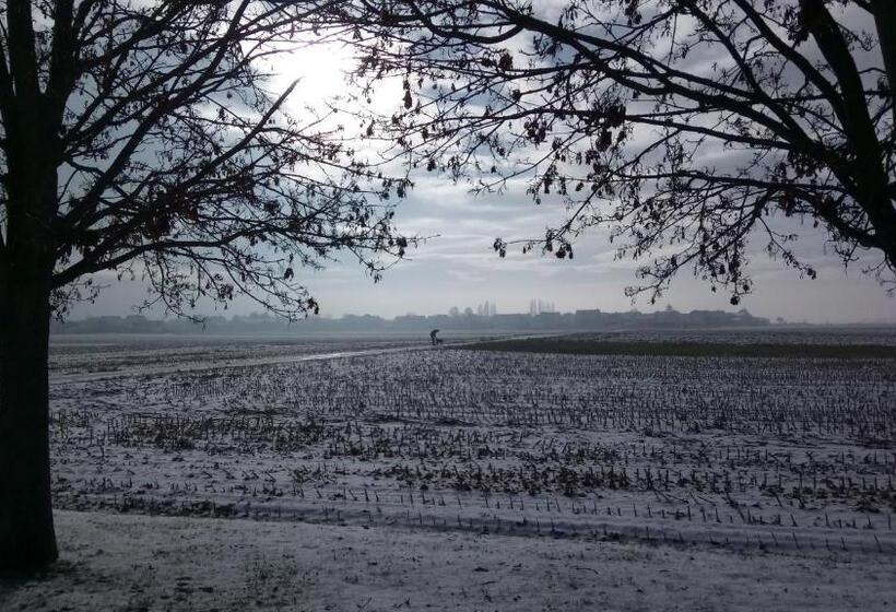 テラス付きスタンダードルーム, A L Ombre Des Catalpas