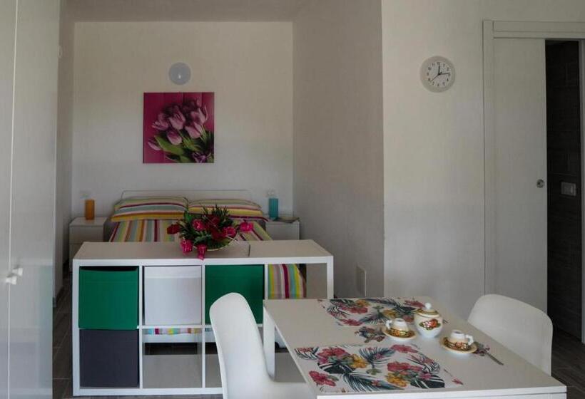 استودیوی استاندارد, L  Aia Di Carinda R.t.a