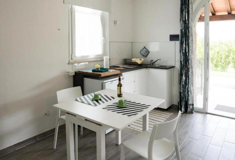 استودیوی استاندارد, L  Aia Di Carinda R.t.a