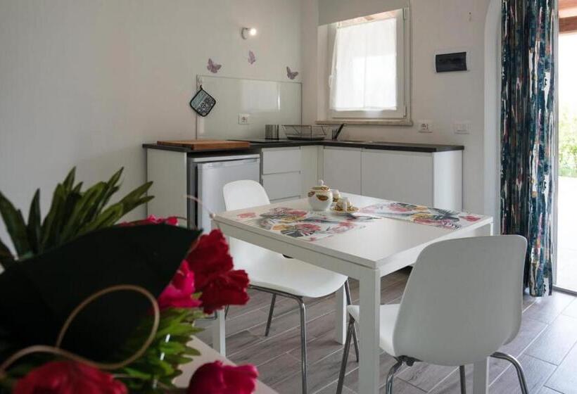 استودیوی استاندارد, L  Aia Di Carinda R.t.a