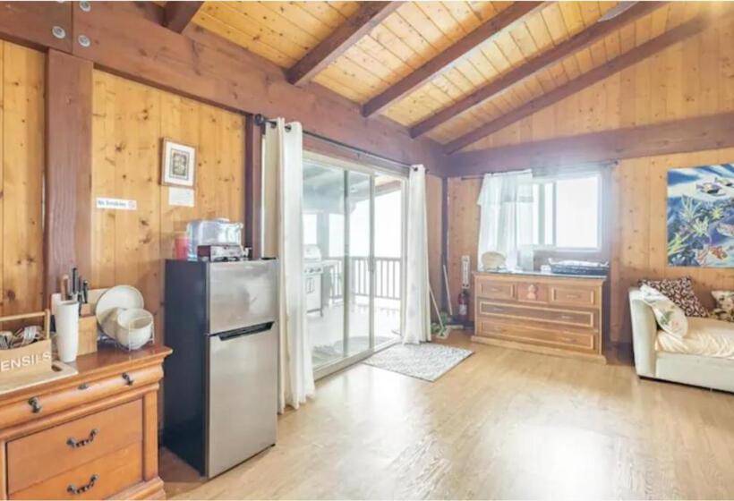 بنجلو ديلوكس, Serenity Hale