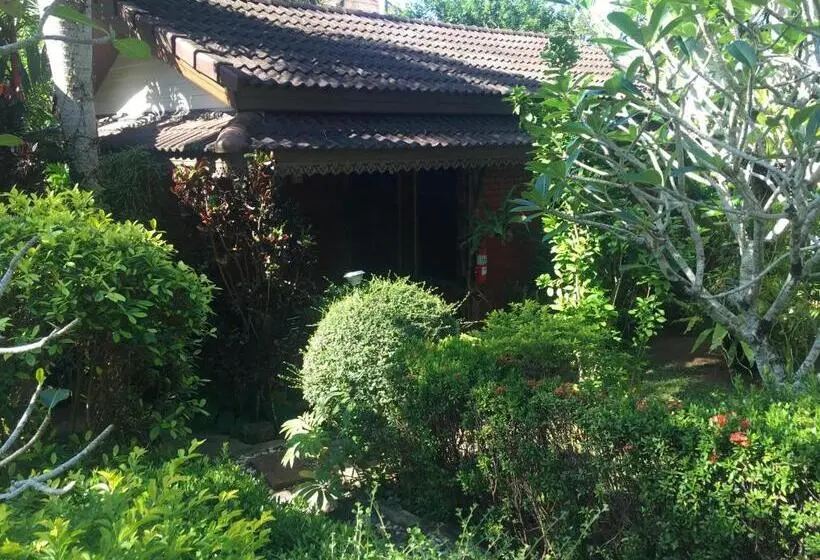 スタンダードバンガロー, Sunflowerbungalow