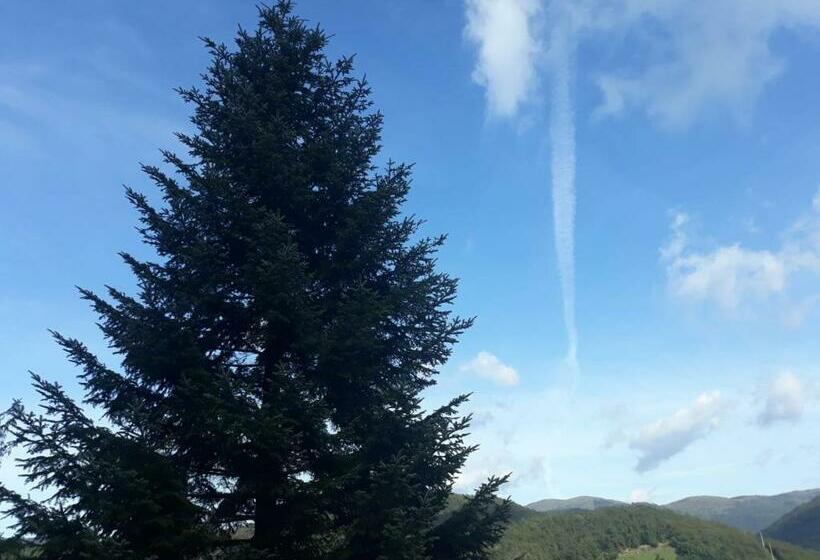 غرفة قياسية مطلّة علي الحديقة, Ca  Du Tu