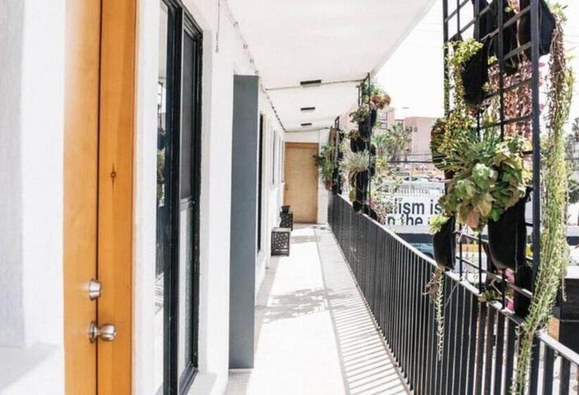 חדר סטודיו סטנדרד, Lofts @estacion Federal