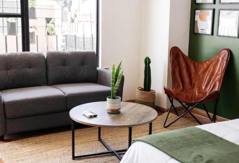 חדר סטודיו סטנדרד, Lofts @estacion Federal