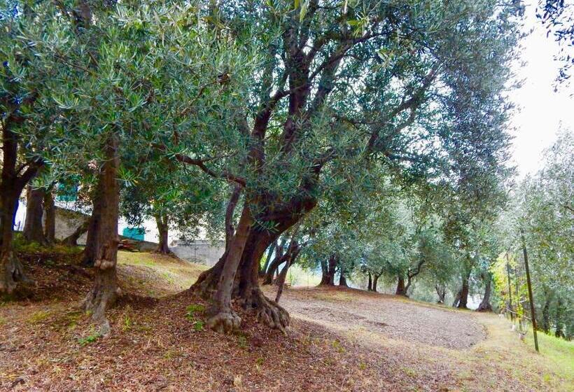 디럭스 테라스 룸 바다 전망, Le Giüe