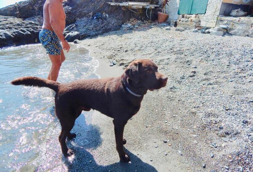 디럭스 테라스 룸 바다 전망, Le Giüe