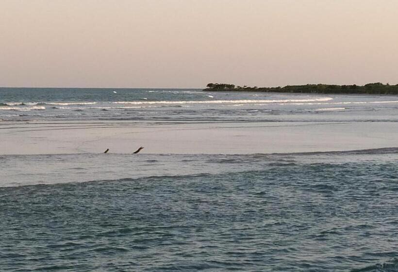 غرفة قياسية, Recanto Das Folhas