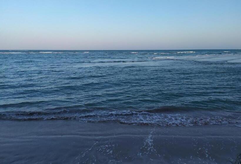 标准三人间, Recanto Das Folhas