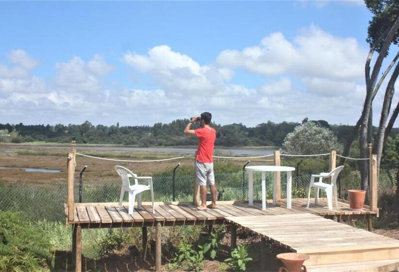 Номер Стандарт, Vagos Art.lab