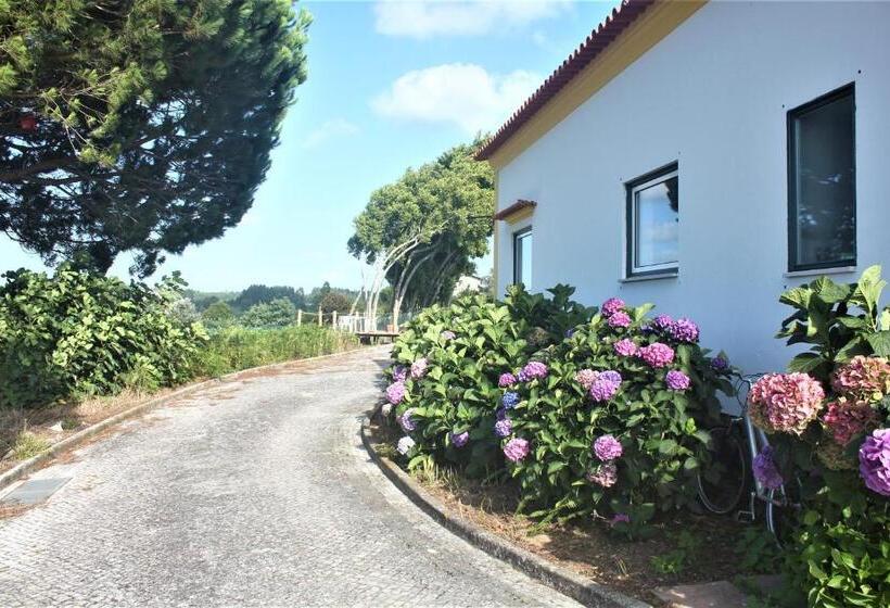 Номер Deluxe, Vagos Art.lab