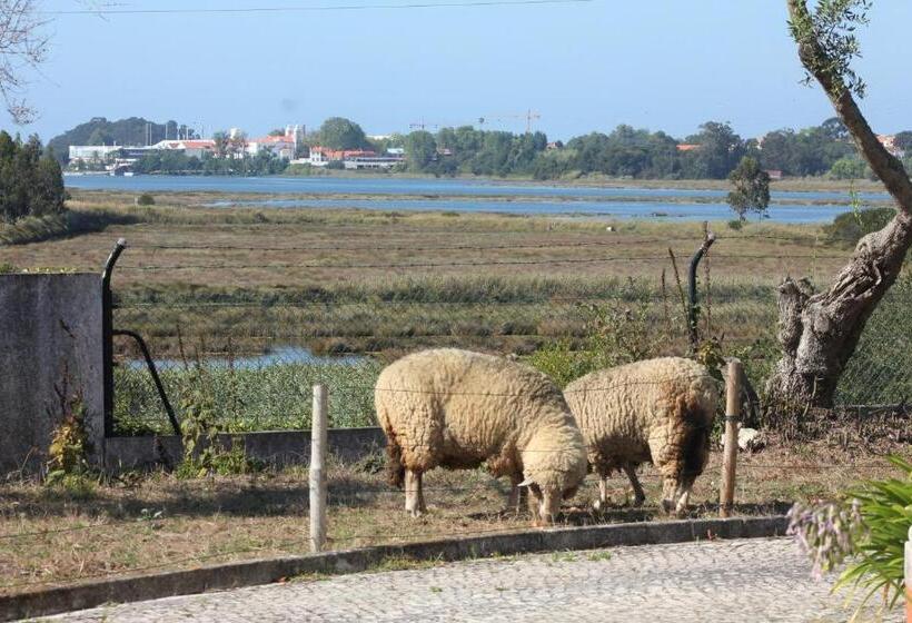 Номер Deluxe, Vagos Art.lab