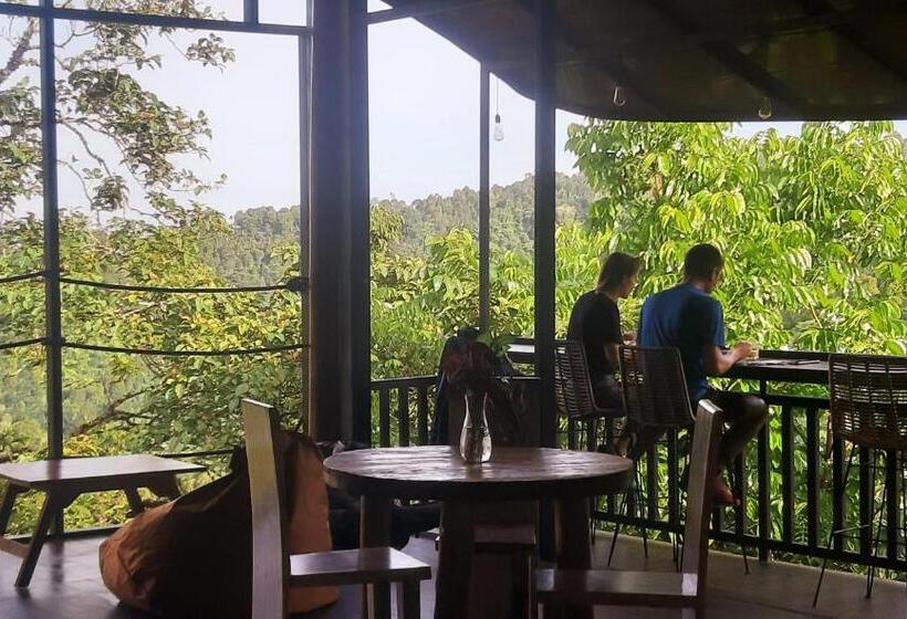 スタンダードルーム, Gumi Ayu Ecostay