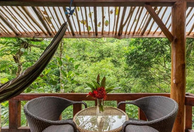 デラックススイート, Gumi Ayu Ecostay