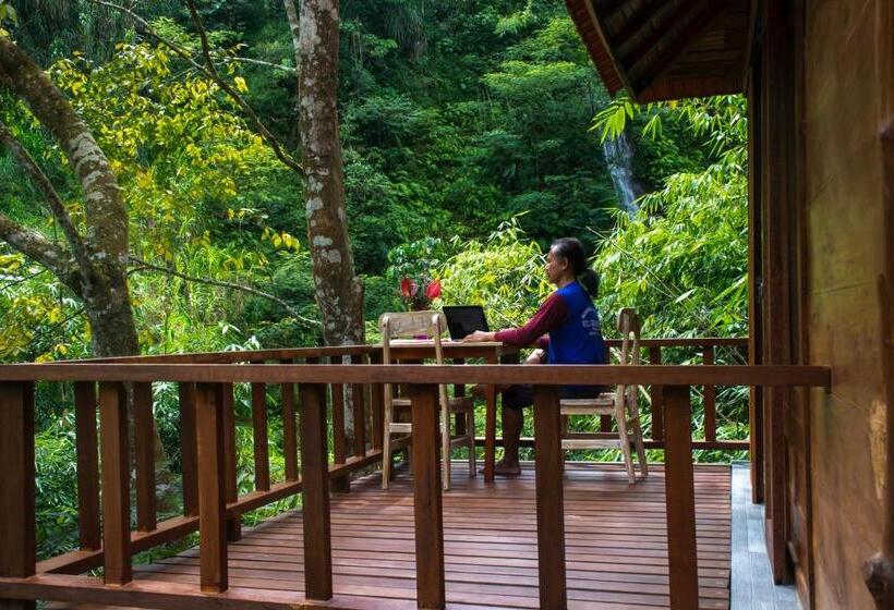 エクゼクティブスイート, Gumi Ayu Ecostay