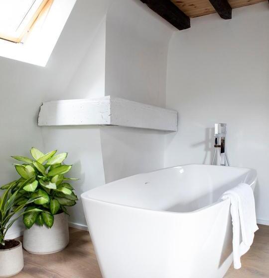 اتاق سوپریور چهار تخته, The Greenhouse