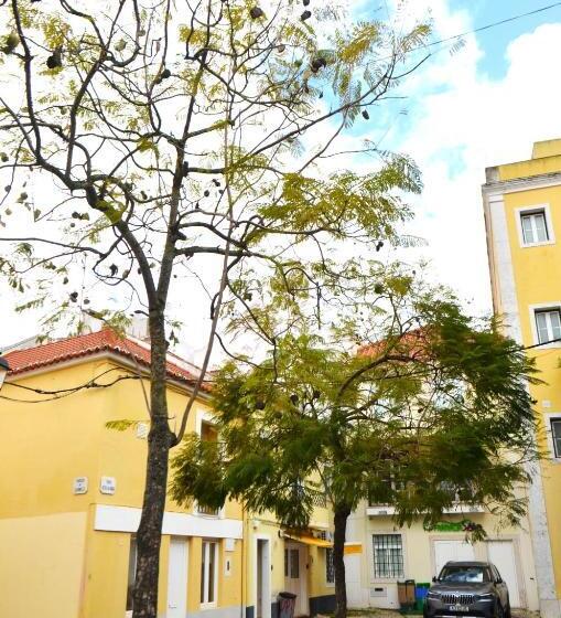 سرير فى غرفة مشتركه, Rooms Dp Setúbal