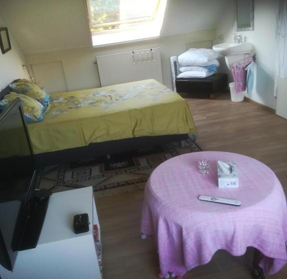 חדר סטנדרט, De Wielen