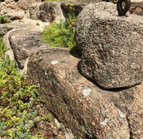 Дом 1 Спальня, Zone Bleue