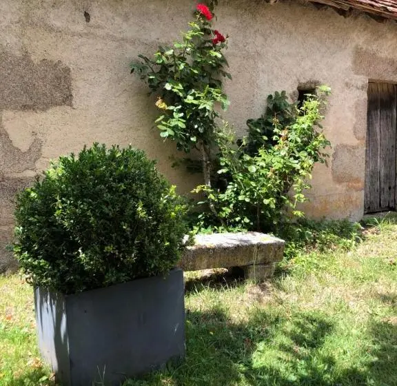 Dom 1 Sypialnia, Zone Bleue