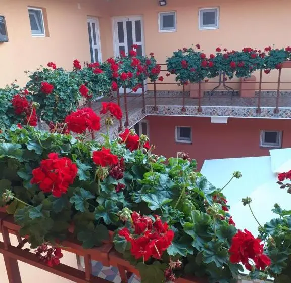Apartament 2 Dormitoare, Casa Leucian