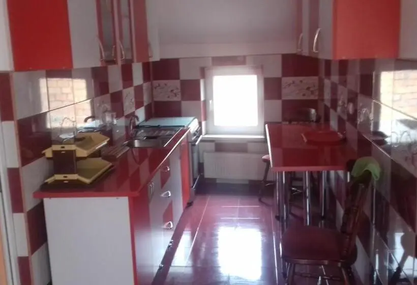 Apartament 2 Dormitoare, Casa Leucian