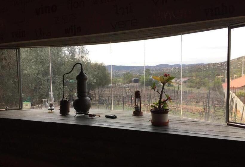 آپارتمان 1 خوابه, Guest House Nativo   Charming, Cozy & Affordable