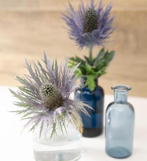 חדר סטנדרט עם מיטת קינג, Ml Rooms