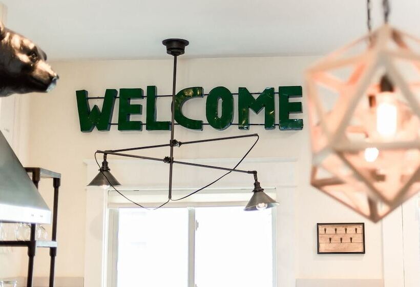 شقة ديلوكس غرفة واحدة, Studio 555