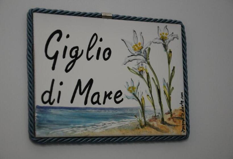 4인용 스탠다드 룸, Tamarix